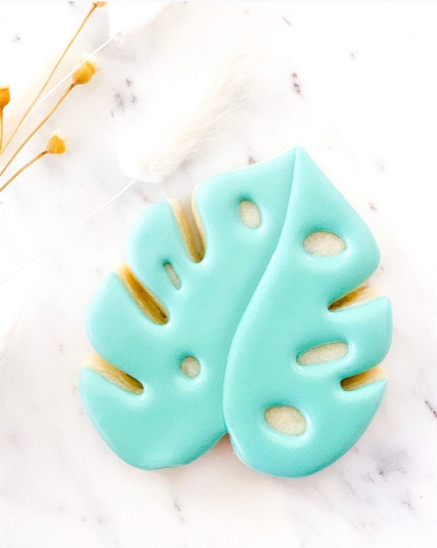 Monstera Leaf/Tropical Leaf