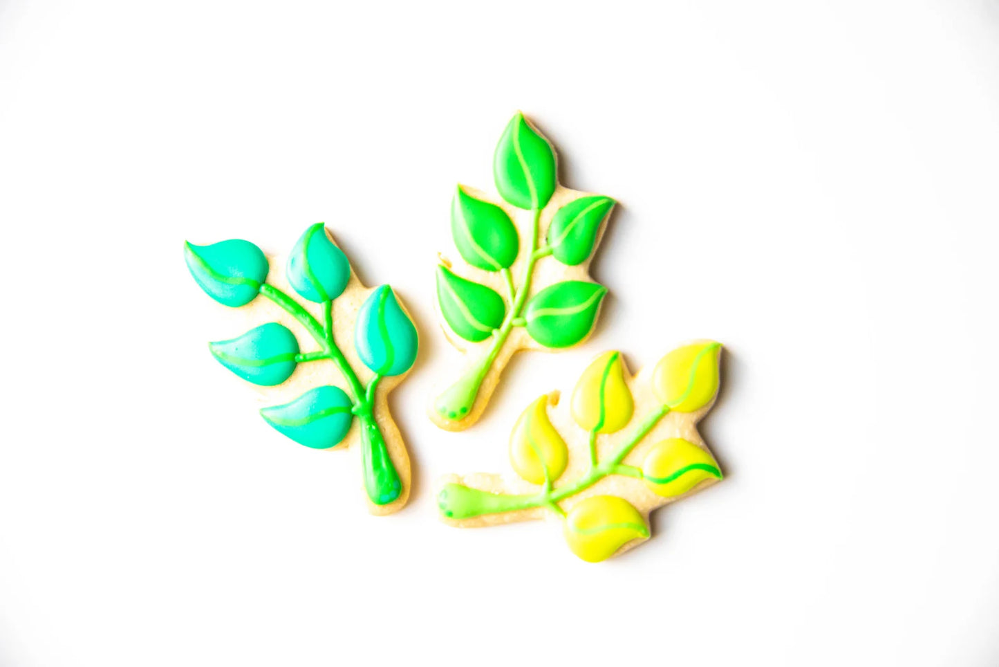 Lemon, Flower Buds and Leaves