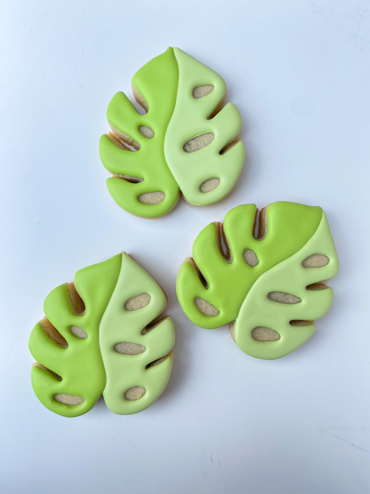 Monstera Leaf/Tropical Leaf